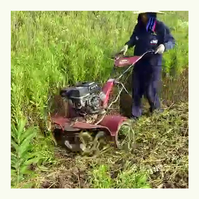 Máquina de gasolina de 170F, de tração nas quatro rodas, cultivador de quinta para arroz e terras secas 65 kg