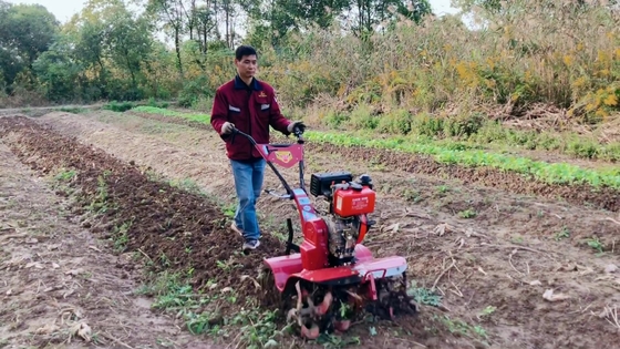 Potente 186F motor diesel de tração nas quatro rodas Mini Power Tiller Cultivator para o mercado