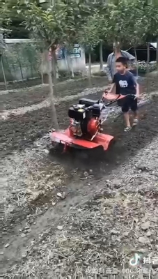 Largura de trabalho e largura de remoção ajustáveis Mini Tiller com tração nas quatro rodas