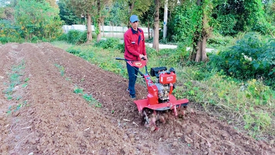 186F Motor diesel de tração nas quatro rodas Mini Power Tiller Cultivator para eficiência de fazendas