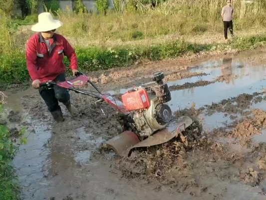 Equipamento de máquinas agrícolas Modelo 186F 192F Pequena máquina de limpeza para terra dura
