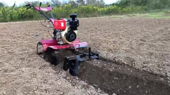 Equipamento de máquinas agrícolas Modelo 186F 192F Pequena máquina de limpeza para terra dura