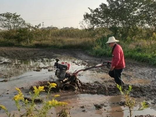 Equipamento de máquinas agrícolas Modelo 186F 192F Pequena máquina de limpeza para terra dura