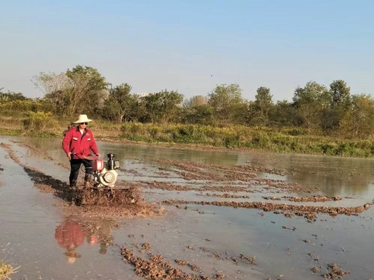 Equipamento de máquinas agrícolas Modelo 186F 192F Pequena máquina de limpeza para terra dura