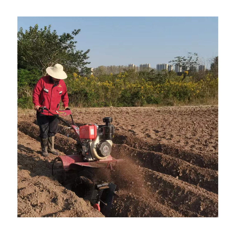 Eficiência do cultivo de arroz e terras secas Equipamento agrícola de tipo diesel