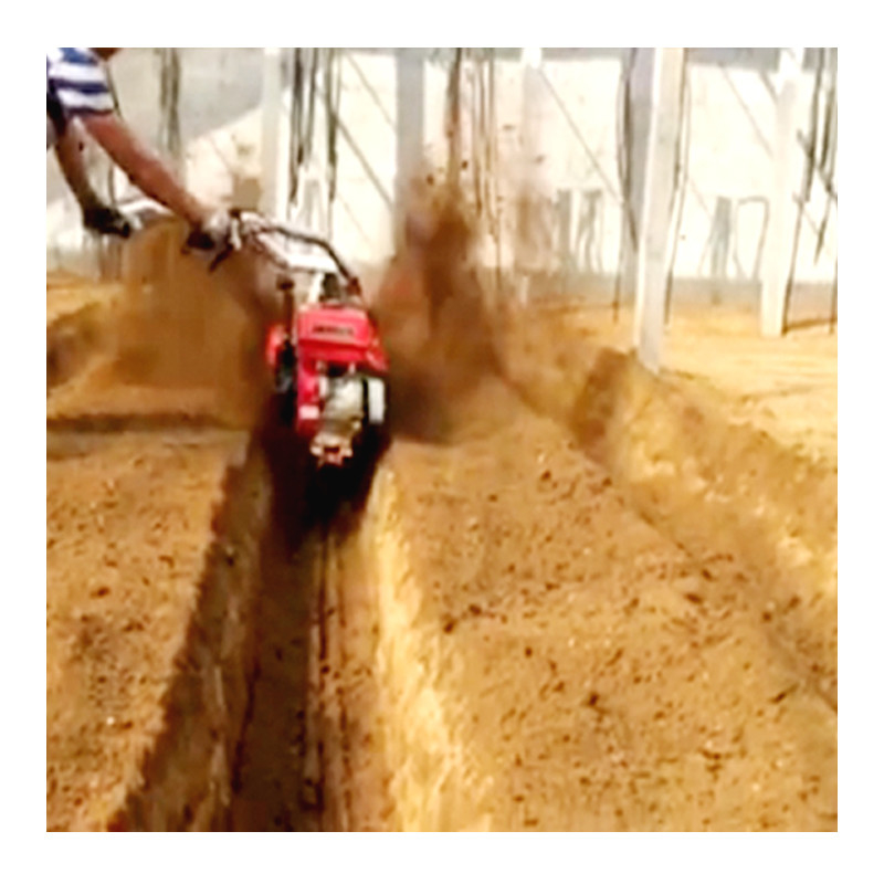 Produtor de plantações com tração nas quatro rodas manual Puah Diesel Mini Tiller para pomar