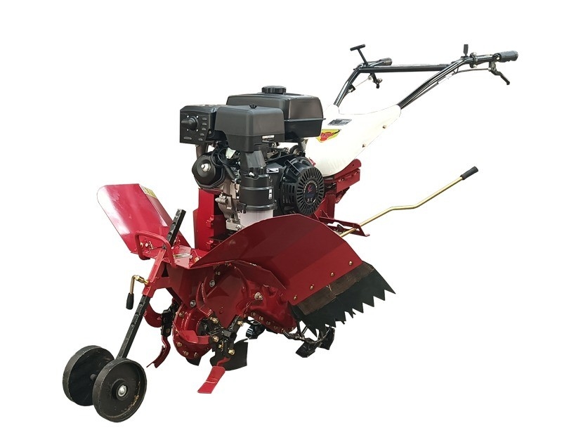 Agricultor Multipurpose Mini Tiller para Limpeza Rotativa/Erva-doce/Escavação/Ridging