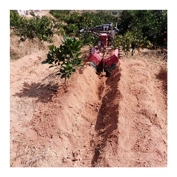Máquina de limpeza de jardim para jardim