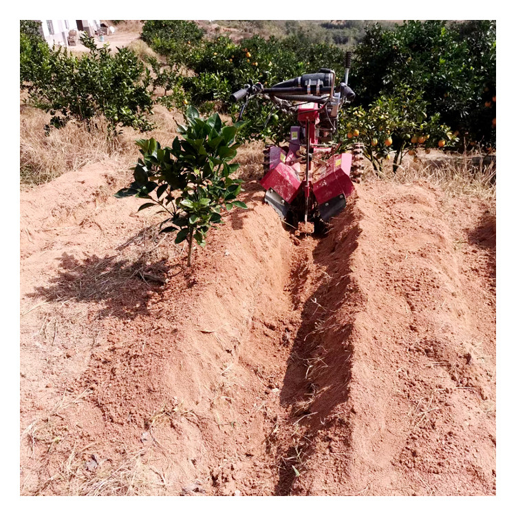 Nível de segurança elevado Limpeza de pomares gasolina econômica 3 pontos mini caminhador trencher trencher