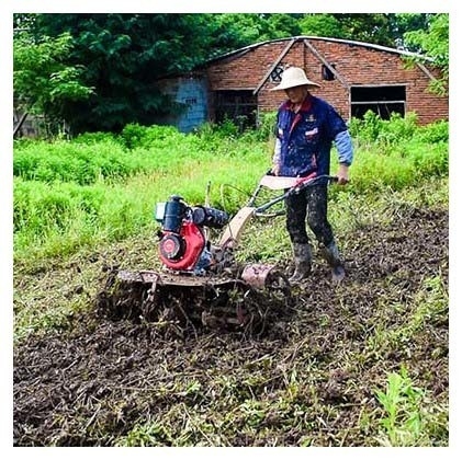 Nível de segurança elevado 4KW 173F Motor diesel Mini Tiller A melhor escolha para tarefas de desmatamento