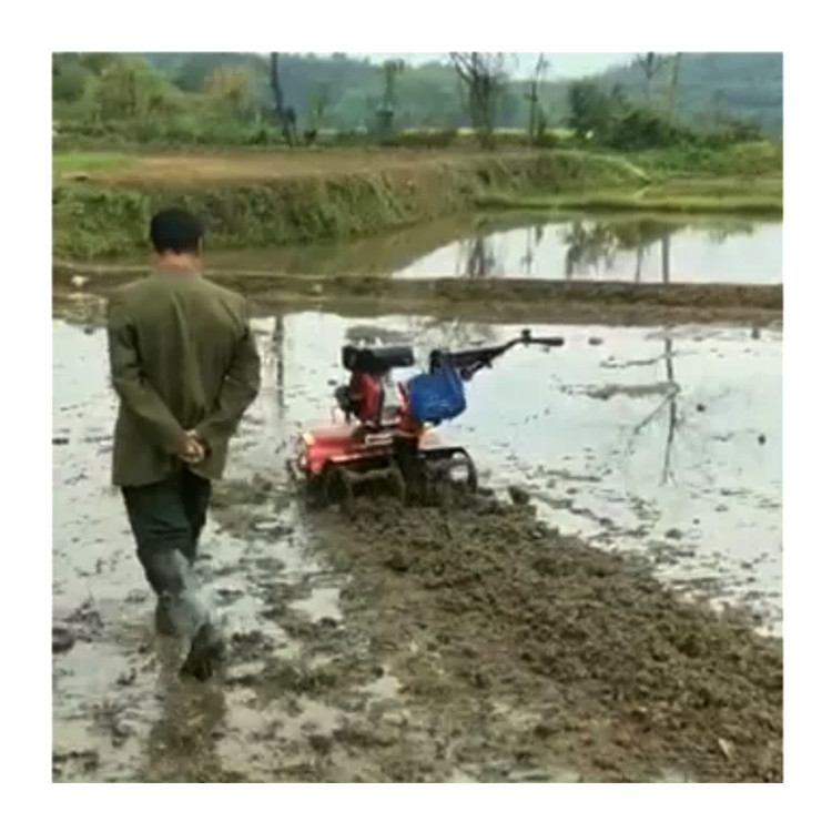 160*62*108cm Nível de segurança elevado Máquinas agrícolas 4KW Equipamento agrícola/Mini rotary tiller